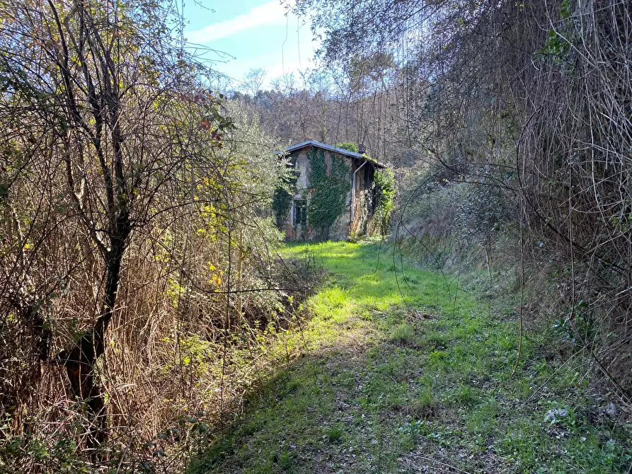 Immagine 22 di Villa in vendita  in via delle selvette 111 a Camaiore