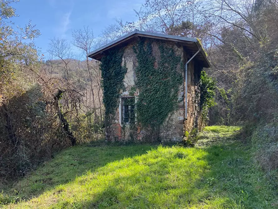 Immagine 23 di Villa in vendita  in via delle selvette 111 a Camaiore