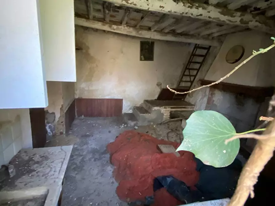 Immagine 25 di Villa in vendita  in via delle selvette 111 a Camaiore