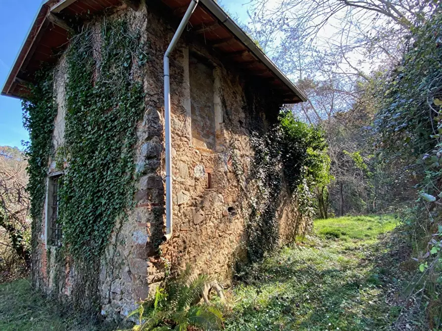 Immagine 4 di Villa in vendita  in via delle selvette 111 a Camaiore