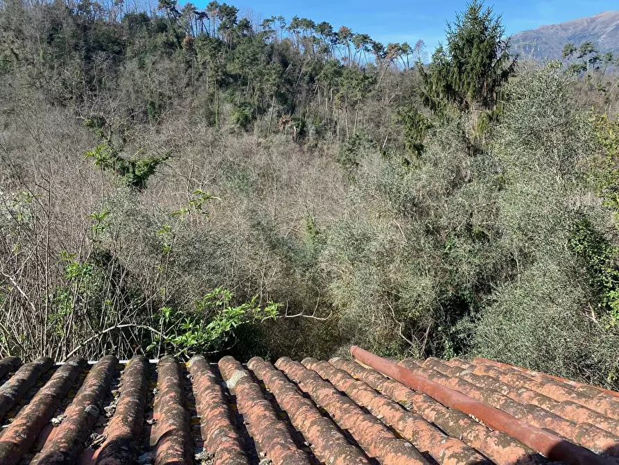 Immagine 19 di Villa in vendita  in via delle selvette 111 a Camaiore