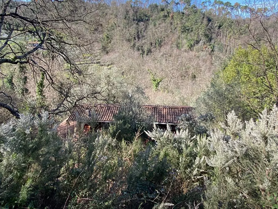 Immagine 26 di Villa in vendita  in via delle selvette 111 a Camaiore