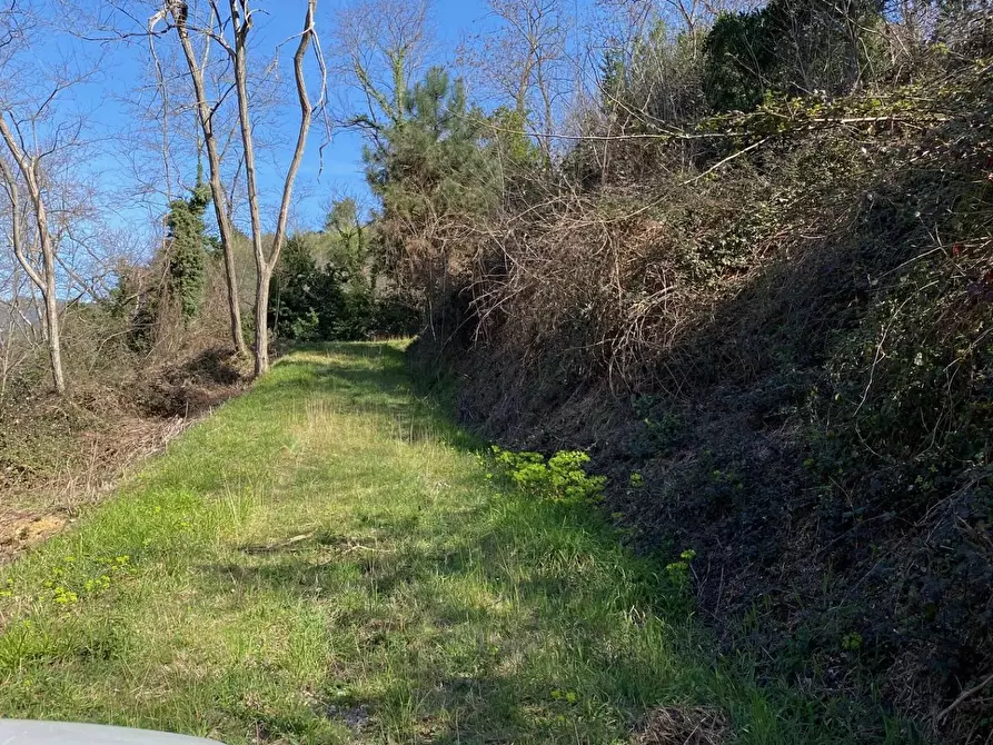 Immagine 27 di Villa in vendita  in via delle selvette 111 a Camaiore