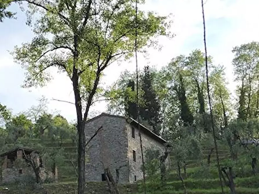 Immagine 8 di Rustico / casale in vendita  in via dei venti 33 a Massarosa