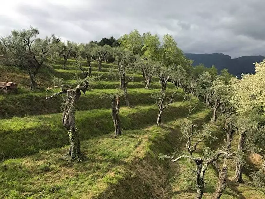 Immagine 9 di Rustico / casale in vendita  in via dei venti 33 a Massarosa