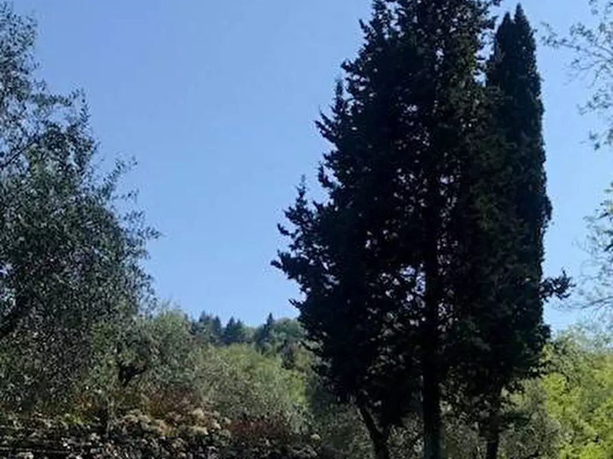 Immagine 20 di Rustico / casale in vendita  in via dei venti 33 a Massarosa