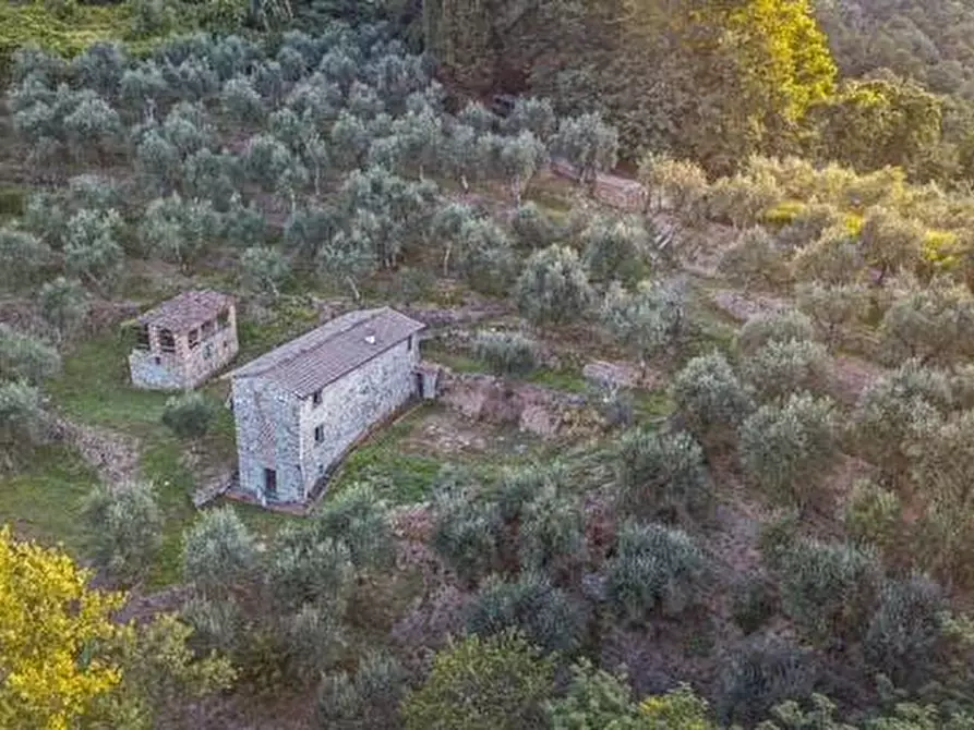 Immagine 2 di Rustico / casale in vendita  in via dei venti 33 a Massarosa