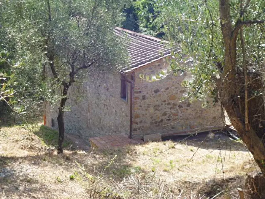 Immagine 5 di Rustico / casale in vendita  in via dei venti 33 a Massarosa