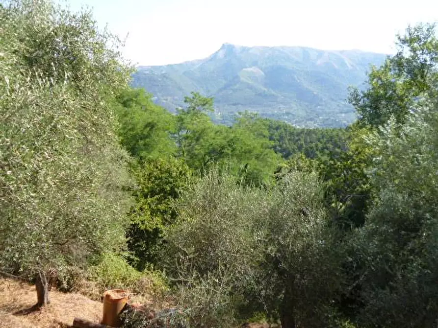 Immagine 19 di Rustico / casale in vendita  in via dei venti 33 a Massarosa