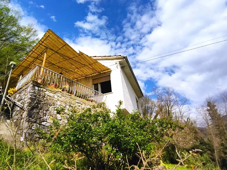 Immagine 6 di Villa in vendita  in via dei lemmetti 3 a Camaiore