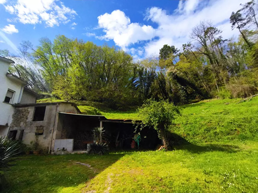 Immagine 10 di Villa in vendita  in via dei lemmetti 3 a Camaiore