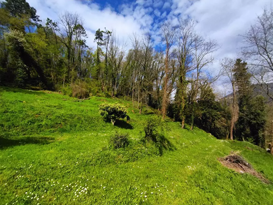 Immagine 11 di Villa in vendita  in via dei lemmetti 3 a Camaiore