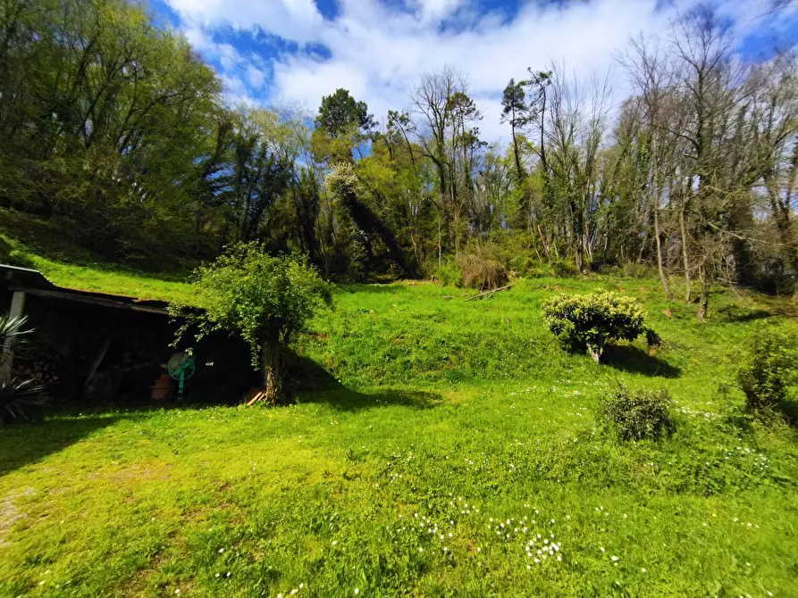 Immagine 12 di Villa in vendita  in via dei lemmetti 3 a Camaiore
