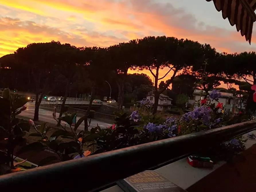 Immagine 17 di Attico in vendita  in via san giovanni bosco 195 a Viareggio