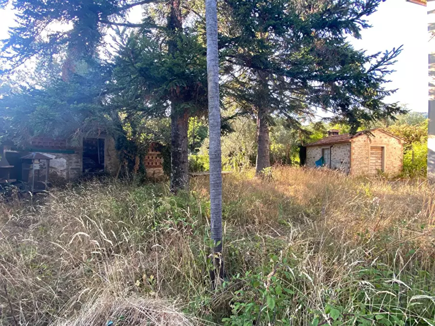 Immagine 6 di Rustico / casale in vendita  in via  torre a Lucca