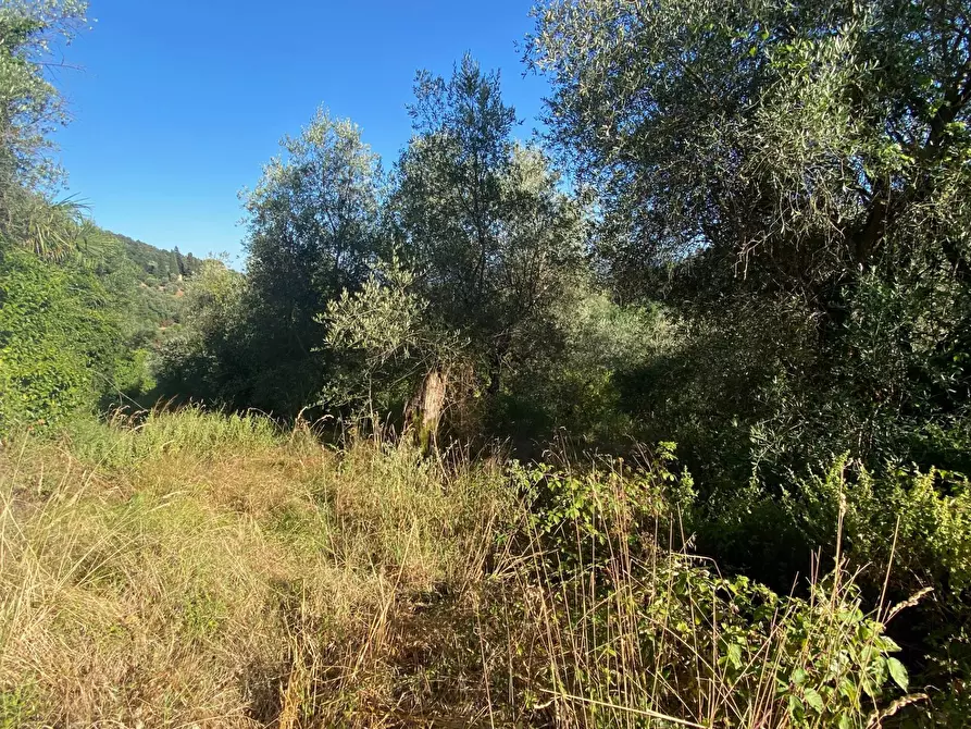 Immagine 8 di Rustico / casale in vendita  in via  torre a Lucca