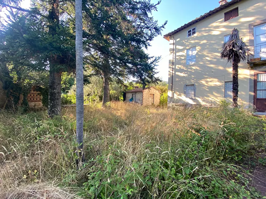 Immagine 9 di Rustico / casale in vendita  in via  torre a Lucca