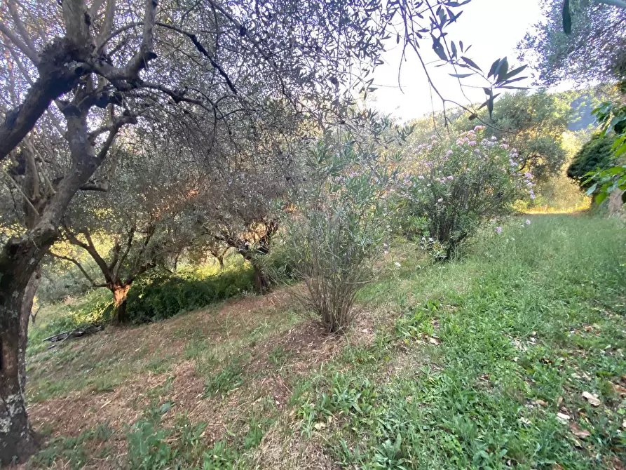 Immagine 10 di Rustico / casale in vendita  in via  torre a Lucca