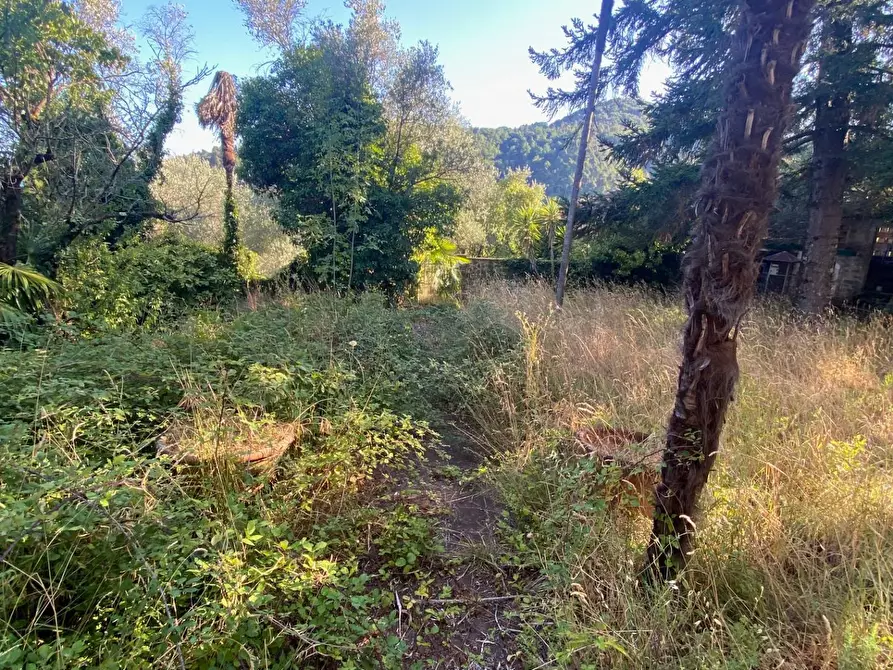 Immagine 19 di Rustico / casale in vendita  in via  torre a Lucca