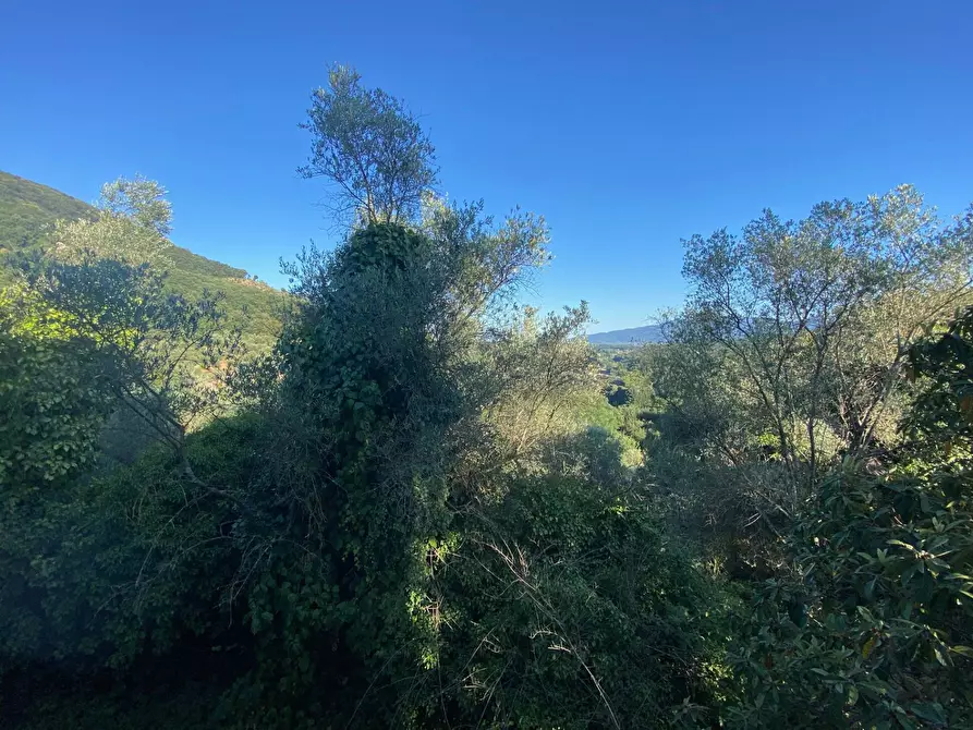 Immagine 30 di Rustico / casale in vendita  in via  torre a Lucca