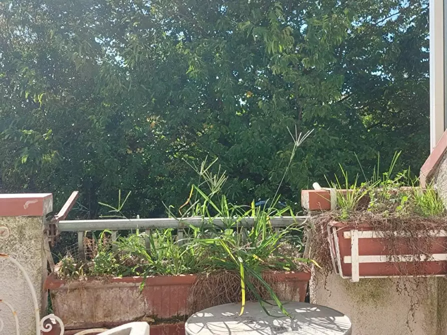 Immagine 3 di Appartamento in vendita  in via elettrica 1 a Viareggio