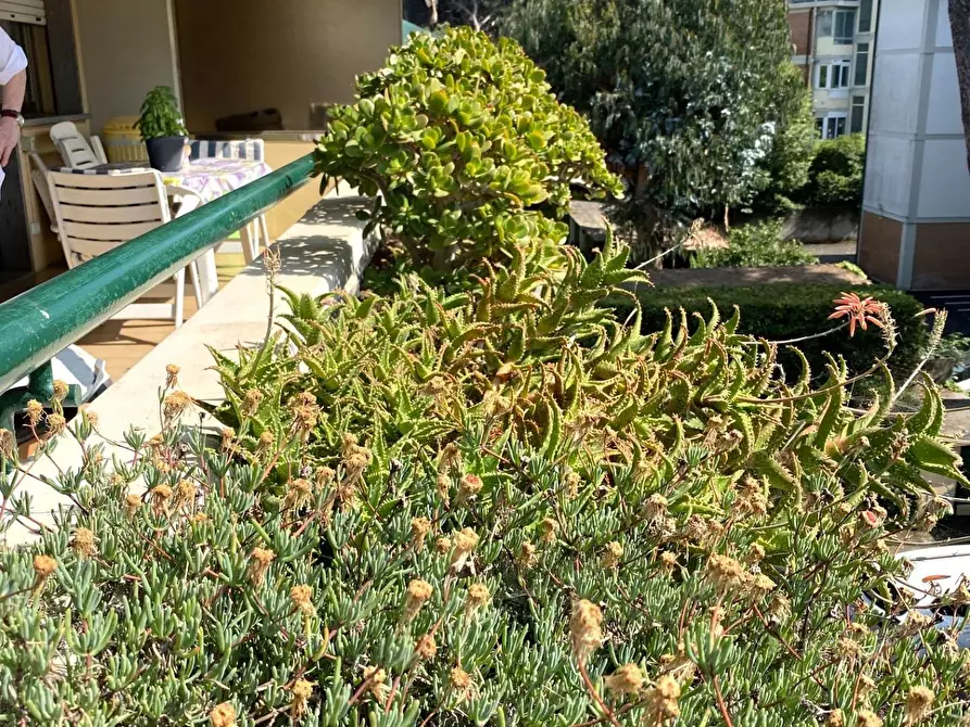 Immagine 8 di Attico in vendita  in via san giovanni bosco 195 a Viareggio