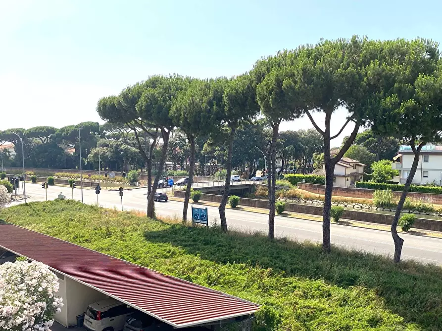 Immagine 13 di Attico in vendita  in via san giovanni bosco 195 a Viareggio