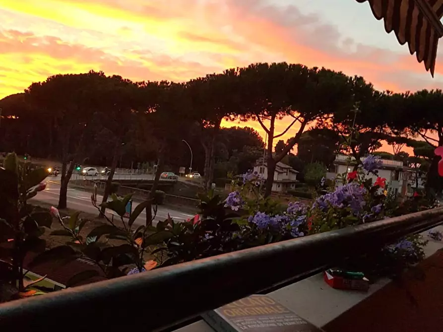 Immagine 16 di Attico in vendita  in via san giovanni bosco 195 a Viareggio