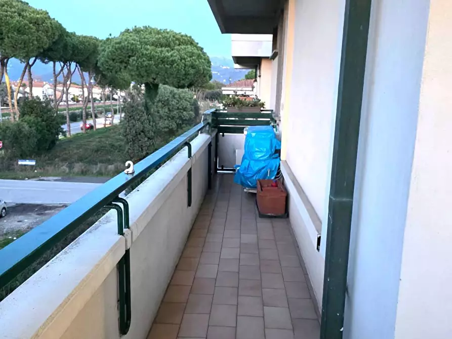 Immagine 10 di Attico in vendita  in via san giovanni bosco 195 a Viareggio