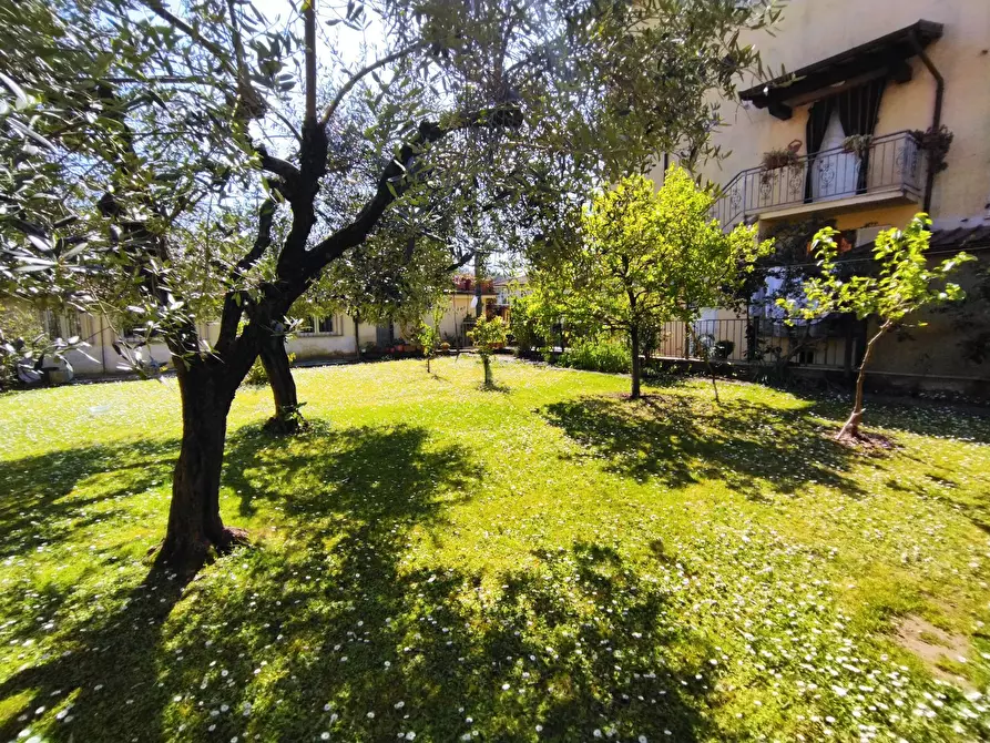 Immagine 7 di Casa indipendente in vendita  in via provinciale 79 a Camaiore