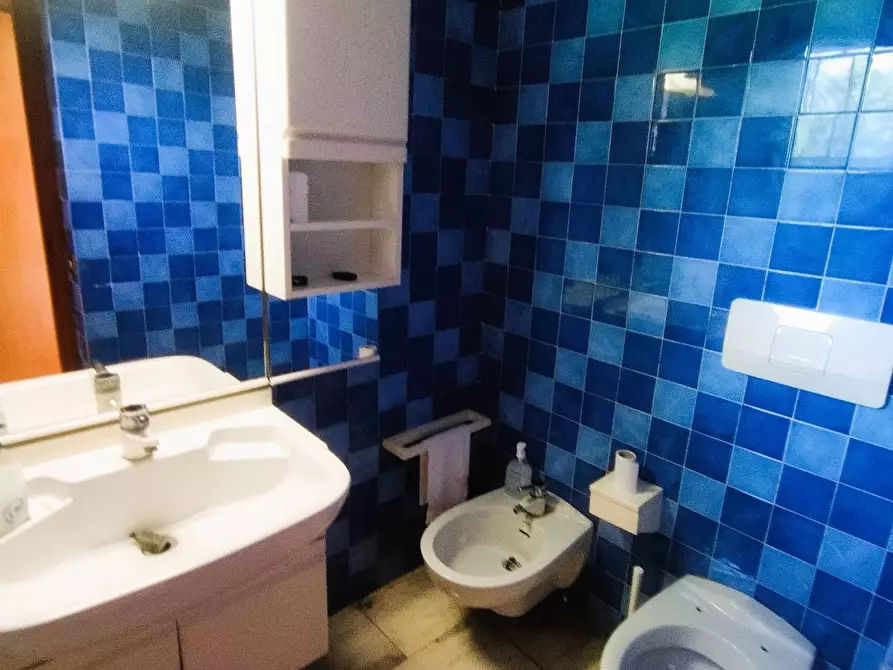 Immagine 20 di Villa in vendita  in via macchia monteggiorini a Camaiore
