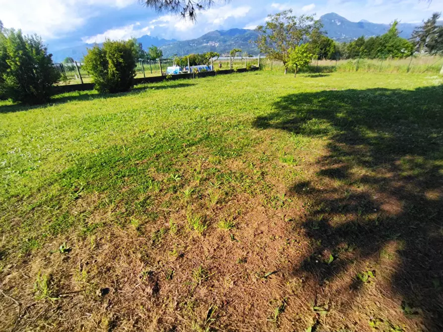 Immagine 35 di Villa in vendita  in via macchia monteggiorini a Camaiore