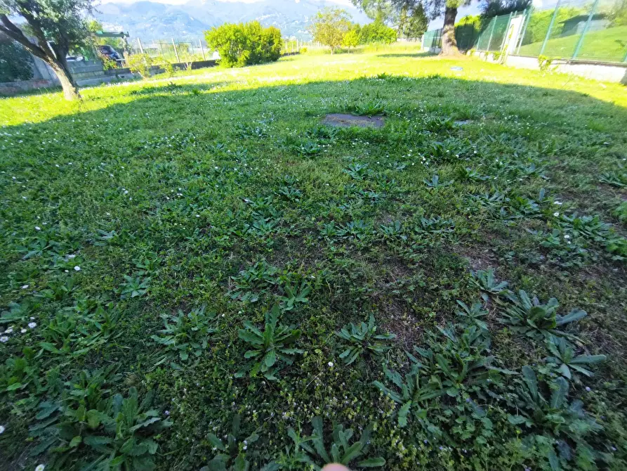 Immagine 36 di Villa in vendita  in via macchia monteggiorini a Camaiore