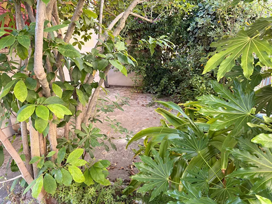 Immagine 12 di Appartamento in vendita  in via puccini 301 a Viareggio