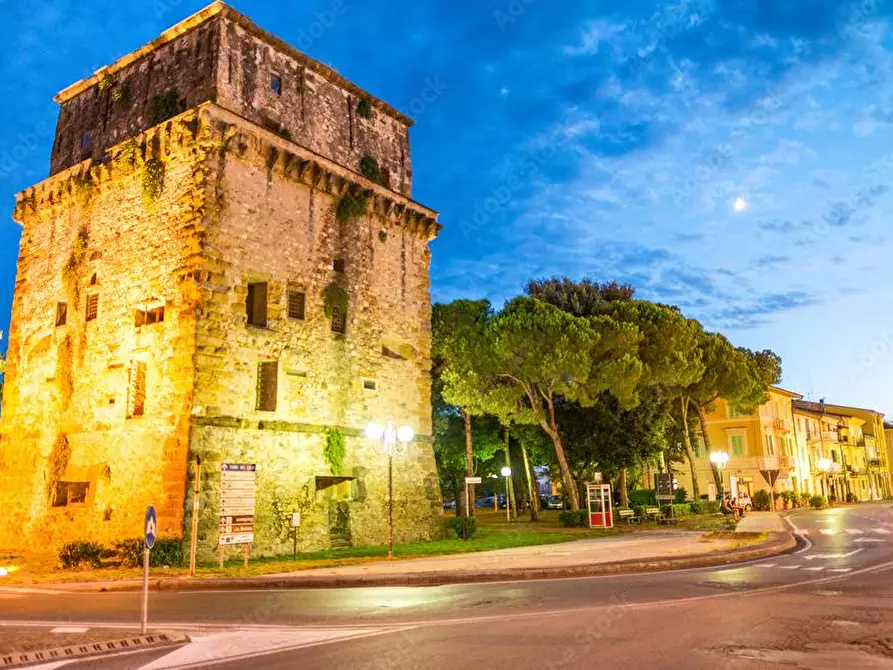 Immagine 16 di Casa indipendente in vendita  in via Pascoli 33 a Viareggio