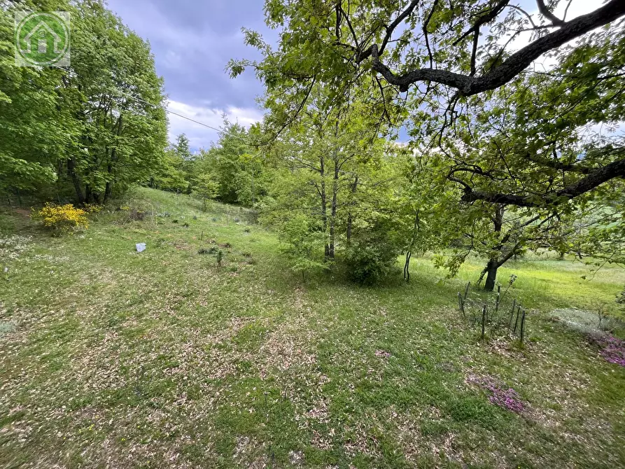 Immagine 32 di Casa indipendente in affitto  a Pavullo Nel Frignano