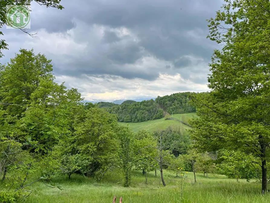 Immagine 5 di Casa indipendente in affitto  a Pavullo Nel Frignano