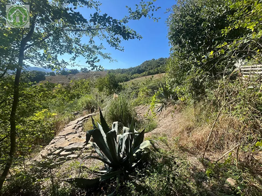 Immagine 47 di Casa indipendente in vendita  a Pavullo Nel Frignano