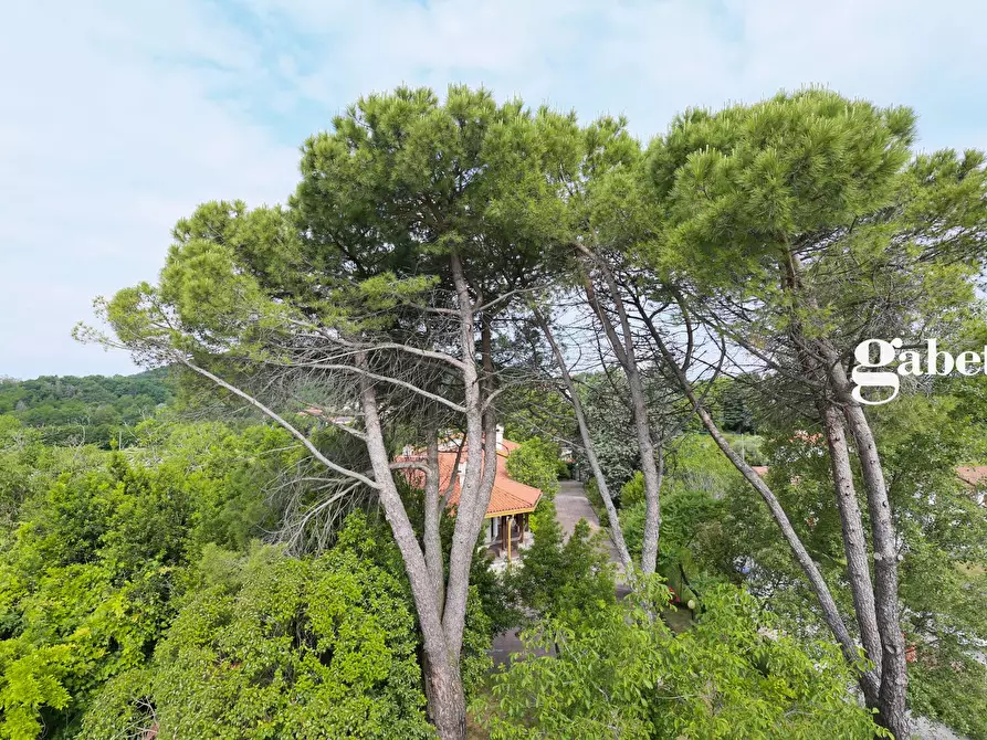 Immagine 11 di Villa in vendita  in VIA SAN PIETRO SNC a La Valletta Brianza