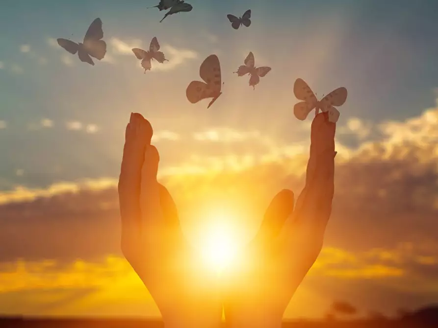 Immagine 7 di Appartamento in vendita  in Via Luigi Cadorna 2 a Bernareggio