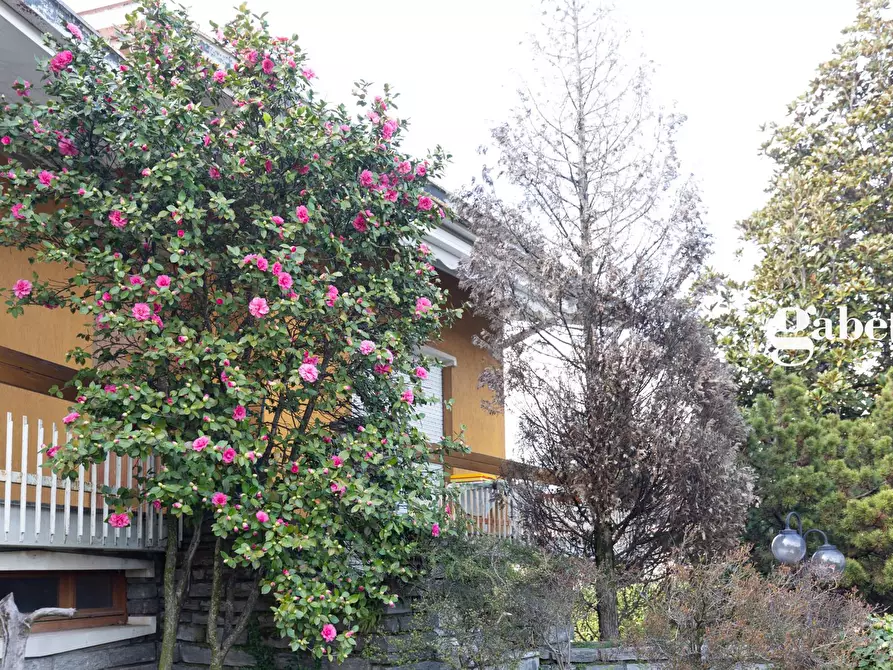 Immagine 5 di Villa in vendita  in Via Trento 28 a Osnago