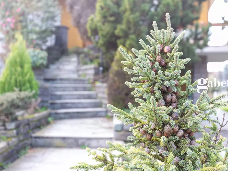 Immagine 10 di Villa in vendita  in Via Trento 28 a Osnago