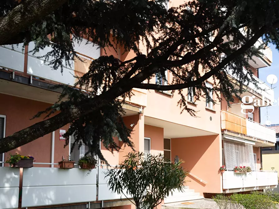 Immagine 5 di Appartamento in vendita  in Via Po' 5 a Lomagna