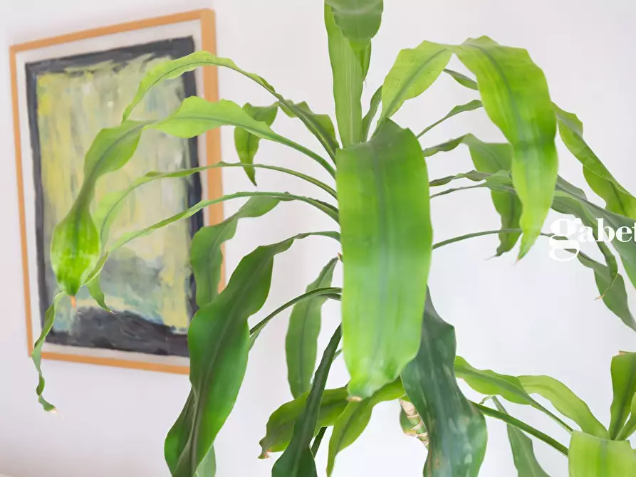 Immagine 15 di Appartamento in vendita  in Via Po' 5 a Lomagna