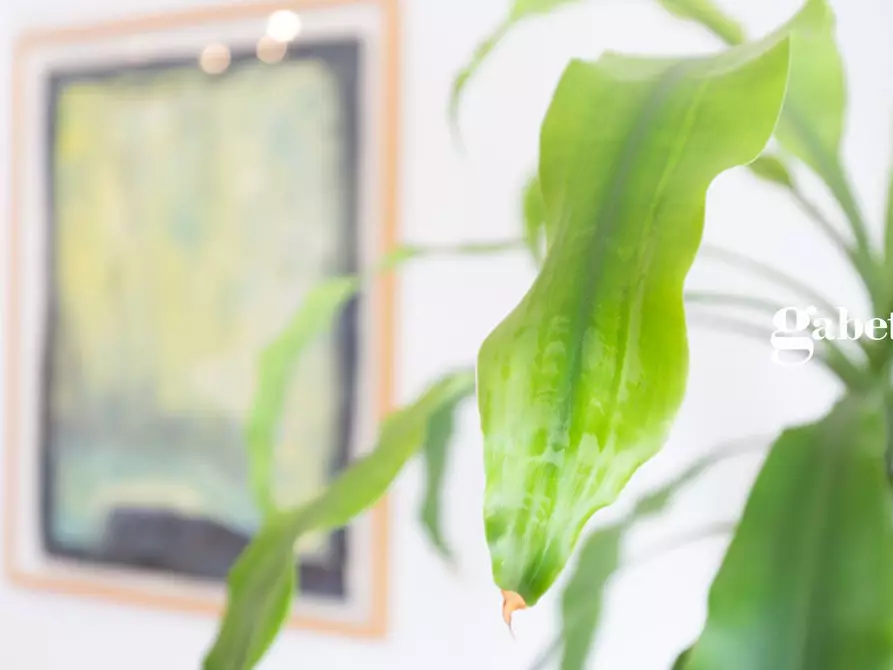 Immagine 16 di Appartamento in vendita  in Via Po' 5 a Lomagna