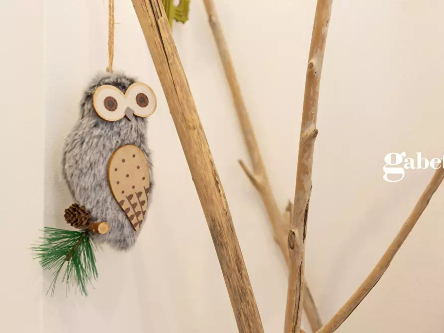 Immagine 20 di Appartamento in vendita  in Via Po' 5 a Lomagna