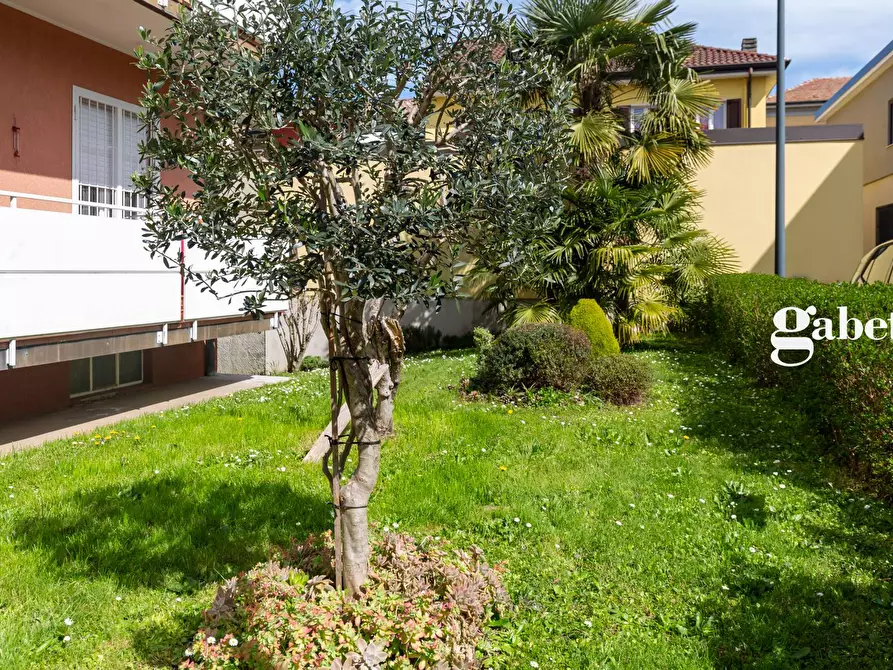 Immagine 3 di Appartamento in vendita  in Via Po' 5 a Lomagna