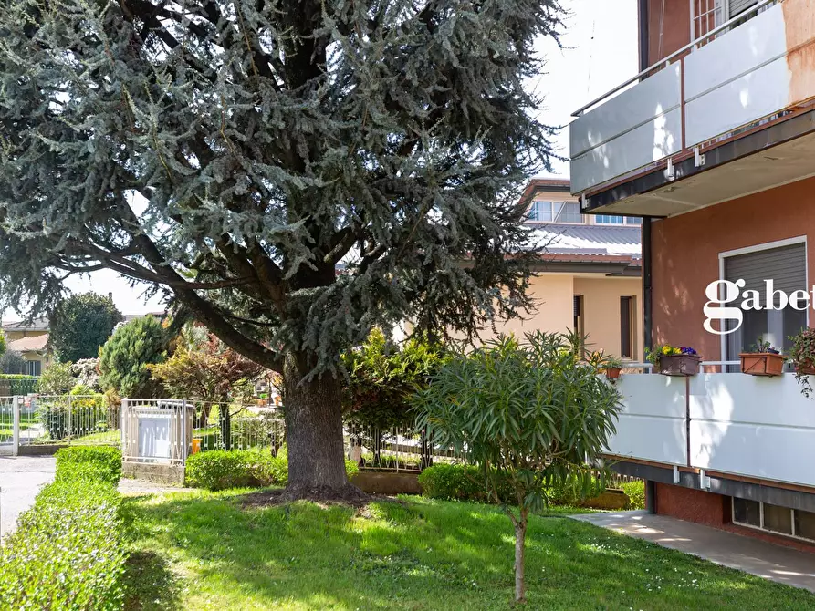 Immagine 2 di Appartamento in vendita  in Via Po' 5 a Lomagna