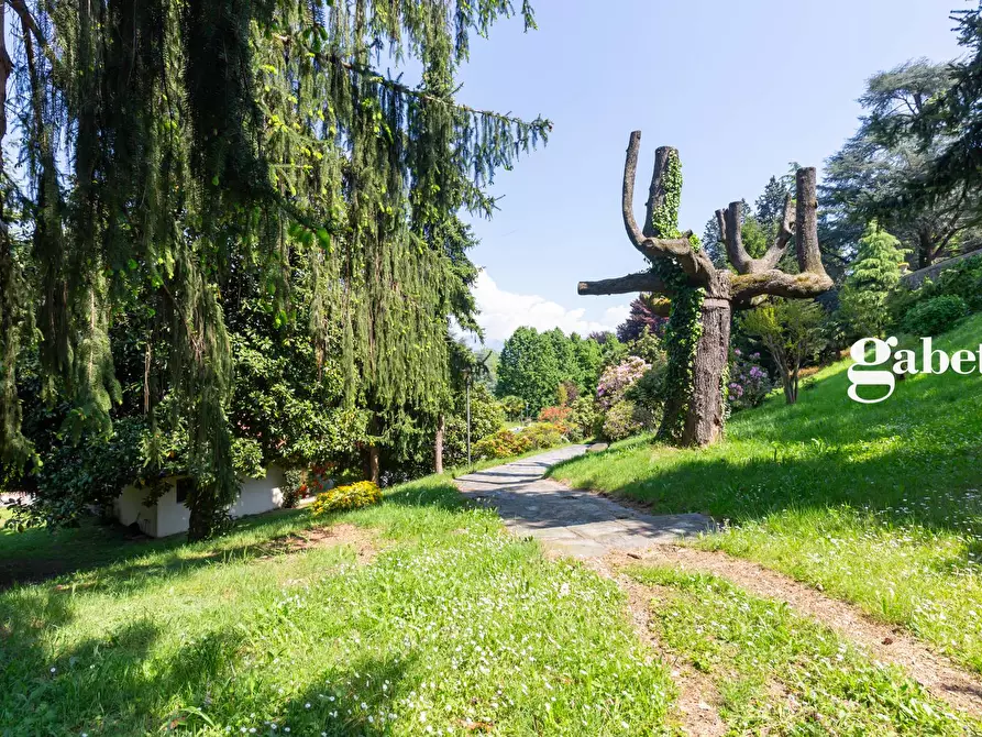 Immagine 50 di Appartamento in vendita  in Via Calco superiore 1 a Calco