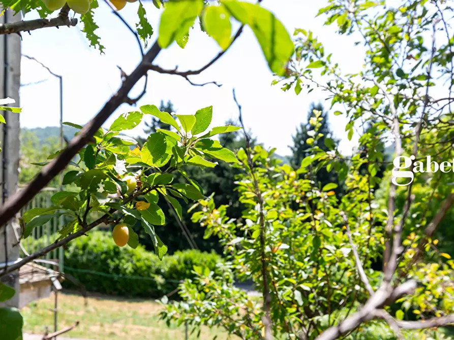 Immagine 10 di Casa indipendente in vendita  in Via A. Diaz 2 a Imbersago